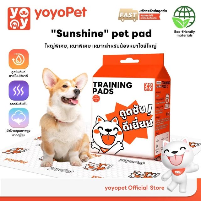 แผ่นรองฉี่ <ไม่มีแผ่นกาว> Pet Pad แผ่นรองฉี่สัตว์เลี้ยง ซึมซับดี ช่วยฝึกการขับถ่าย